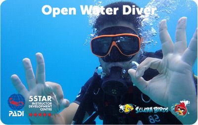 PADI Open Water  Diver Course for beginners on Koh Samui Island
